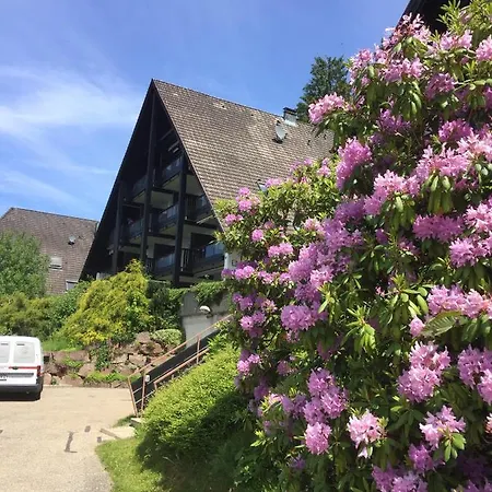 Apartamento On The Hill Sasbachwalden Exterior foto