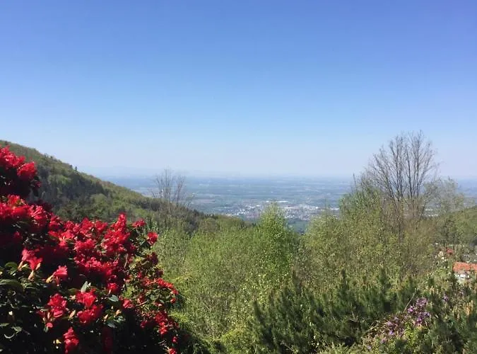 On The Hill